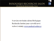 Tablet Screenshot of brsalon.cz